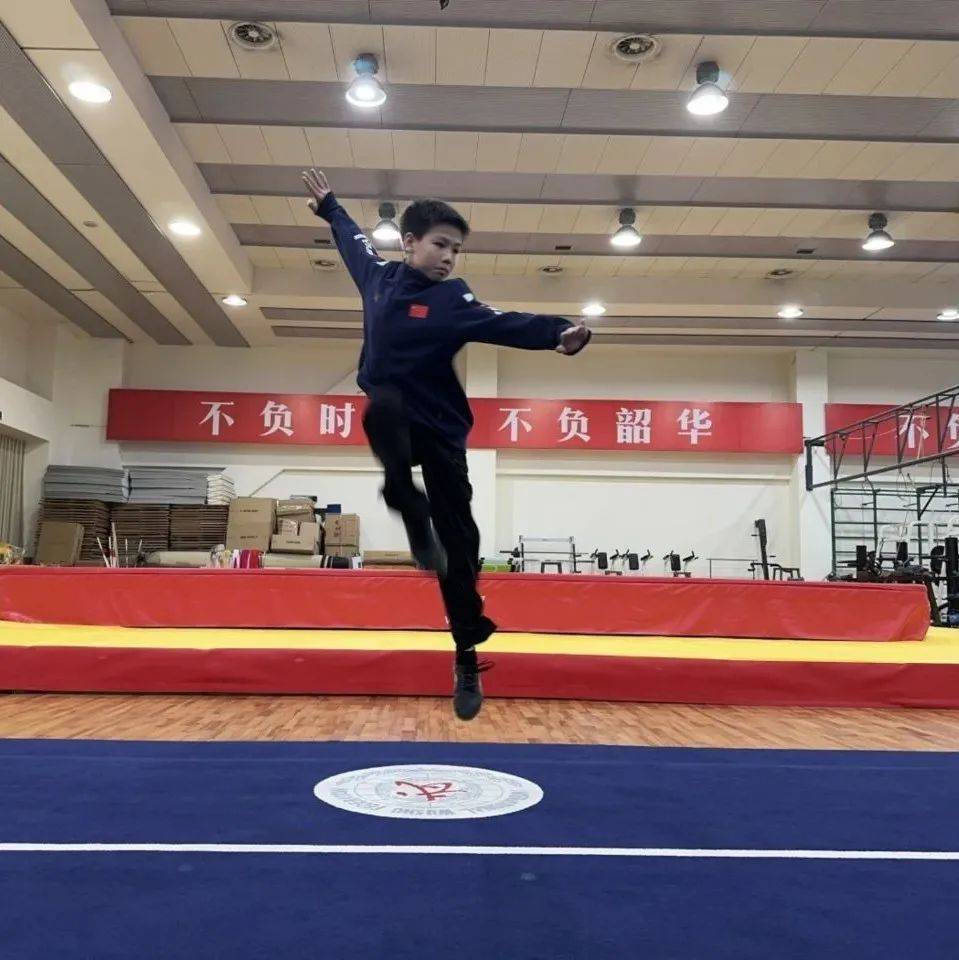 中国武术选手优雅表现获佳绩 中国武术选手优雅表现获佳绩