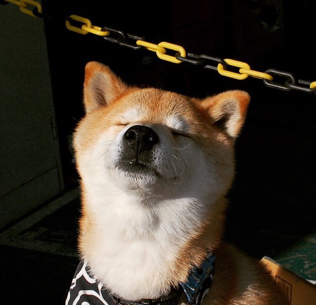 奇迹绝杀，韩国少年李刚仁如何成为那不勒斯夜空中唯一的星