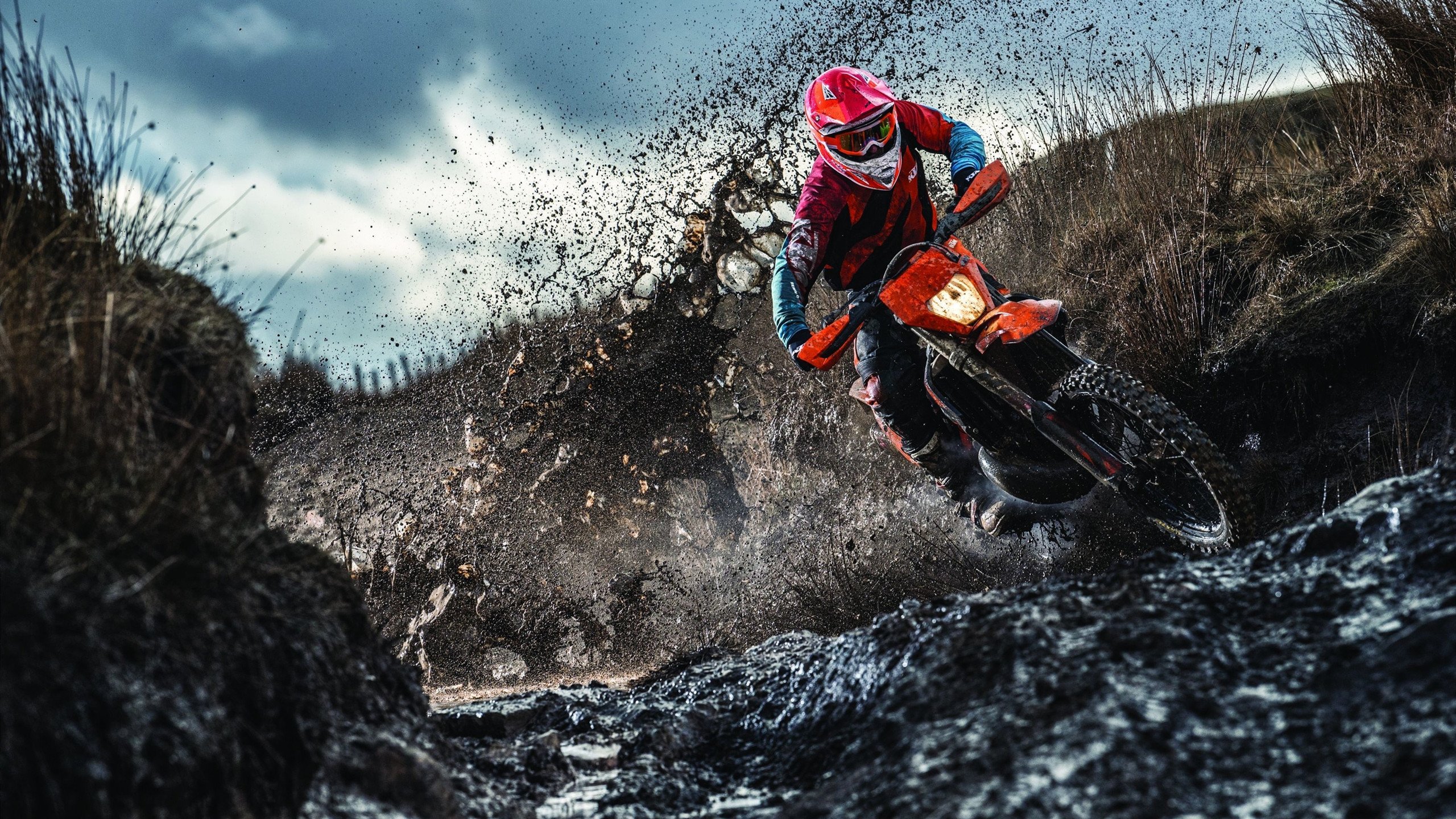 重塑秩序，切特生死战封神，灰熊西决之路的强势注脚